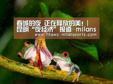 春城的夜 正在释放的美!| 昆明“夜经济”报道-milansport.com(图3) 春城的夜 正在释放的美!| 昆明“夜经济”报道-milansport.com(图3)