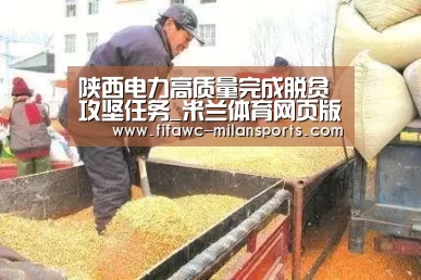陕西电力高质量完成脱贫攻坚任务_米兰体育网页版(图1) 米兰体育app