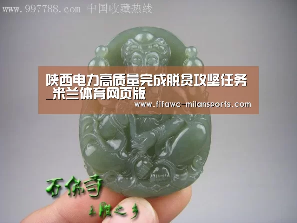 陕西电力高质量完成脱贫攻坚任务_米兰体育网页版(图3) 米兰体育网页版