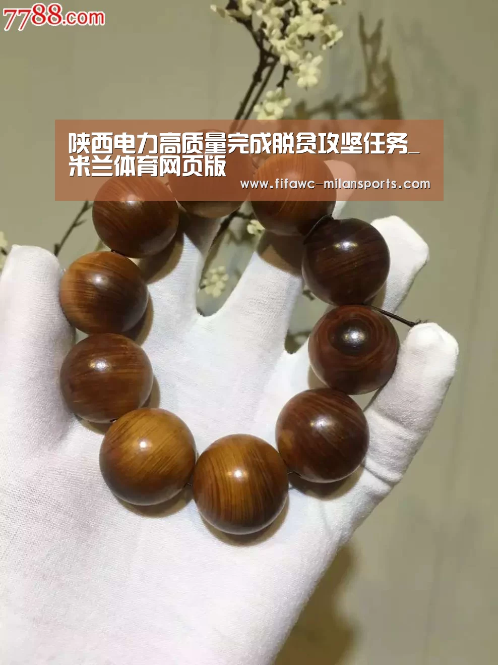 陕西电力高质量完成脱贫攻坚任务_米兰体育网页版(图2) 国际米兰
