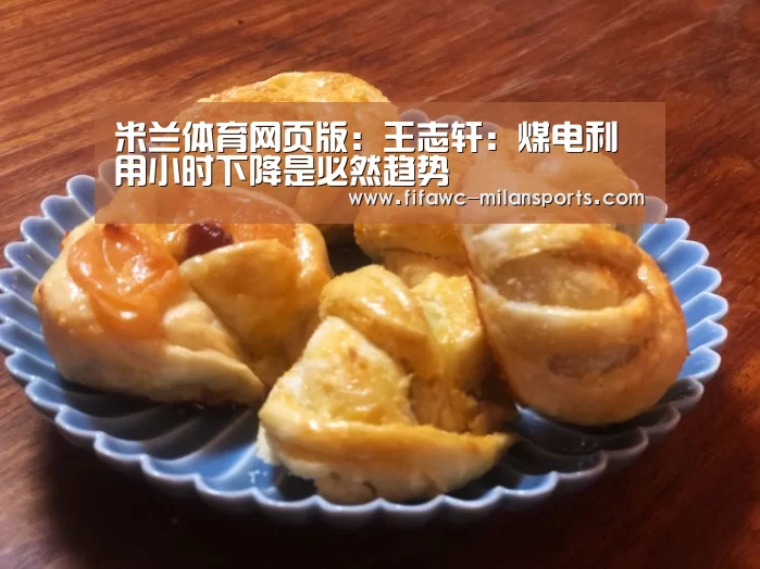 米兰体育网页版:王志轩:煤电利用小时下降是必然趋势(图2) 米兰体育网页版
