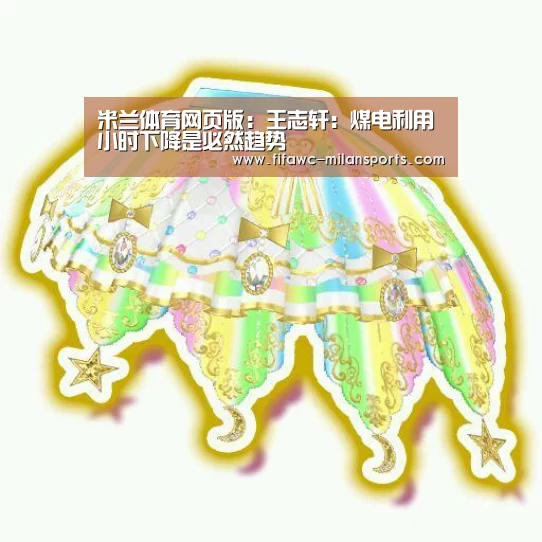 米兰体育网页版:王志轩:煤电利用小时下降是必然趋势(图4) 国际米兰